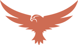 Eagle Electric icon